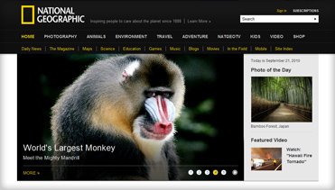 获取短信验证码平台